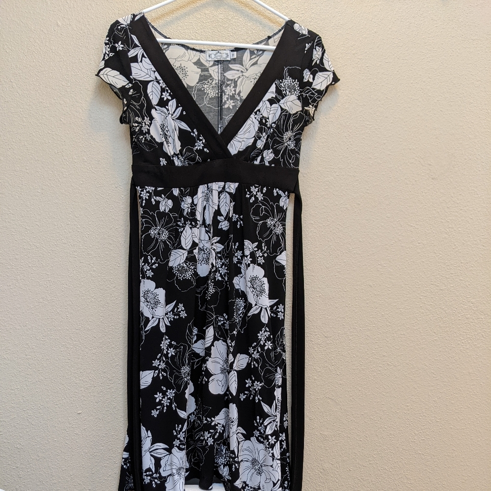 Trixxi Black and White Floral A-line Dress